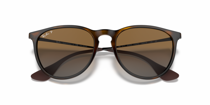 
                  
                    RAY BAN RB 4171 710/T5 Erika
                  
                
