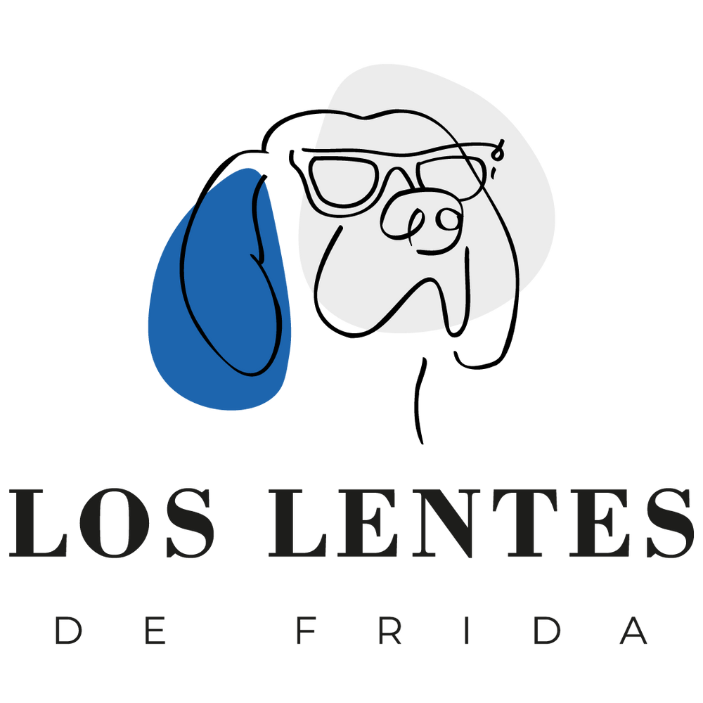 Los Lentes de Frida